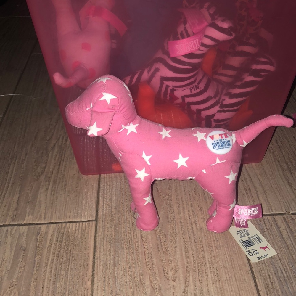 PINK Dog🐶💕